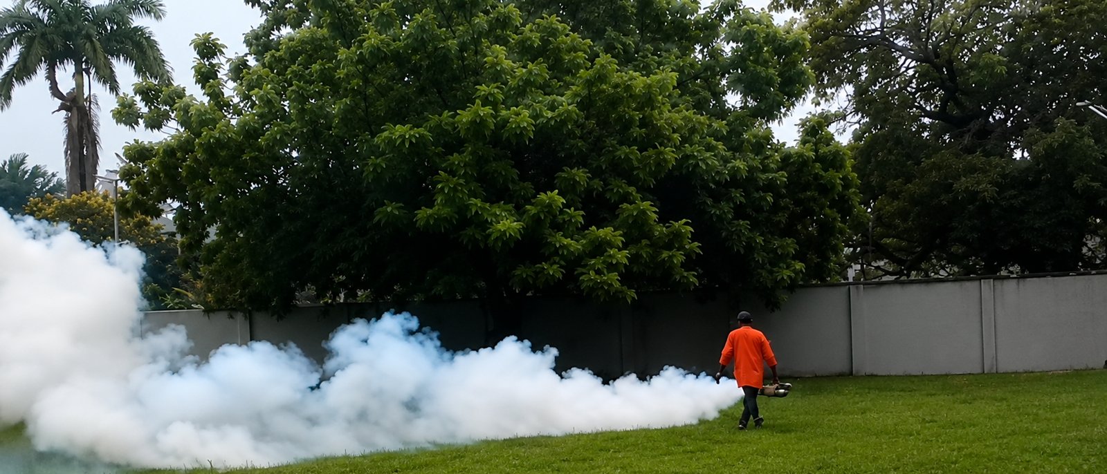 Technician fumigating a grassy compound with thick fogging smoke among trees